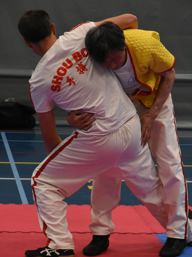 Championnat du monde International de SHOU BO 2025